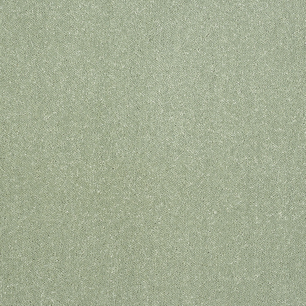 Affection - Image 10