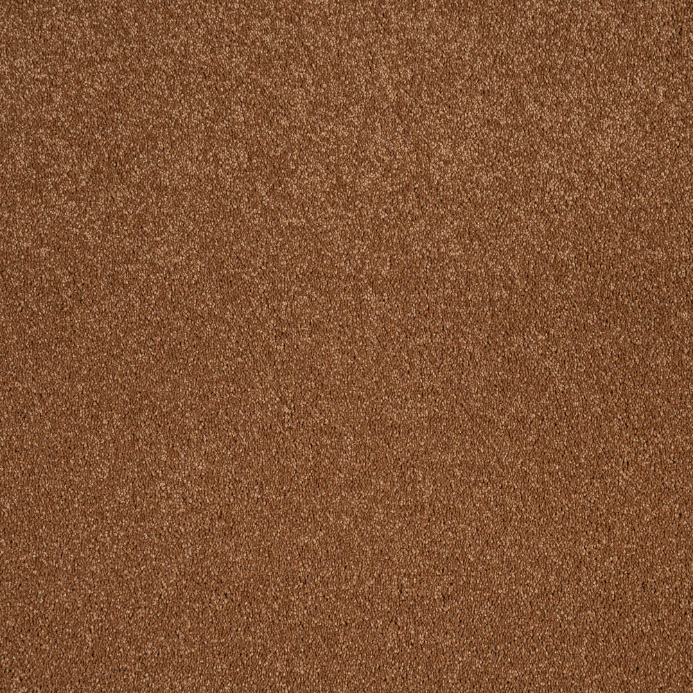 Amour - Image 5
