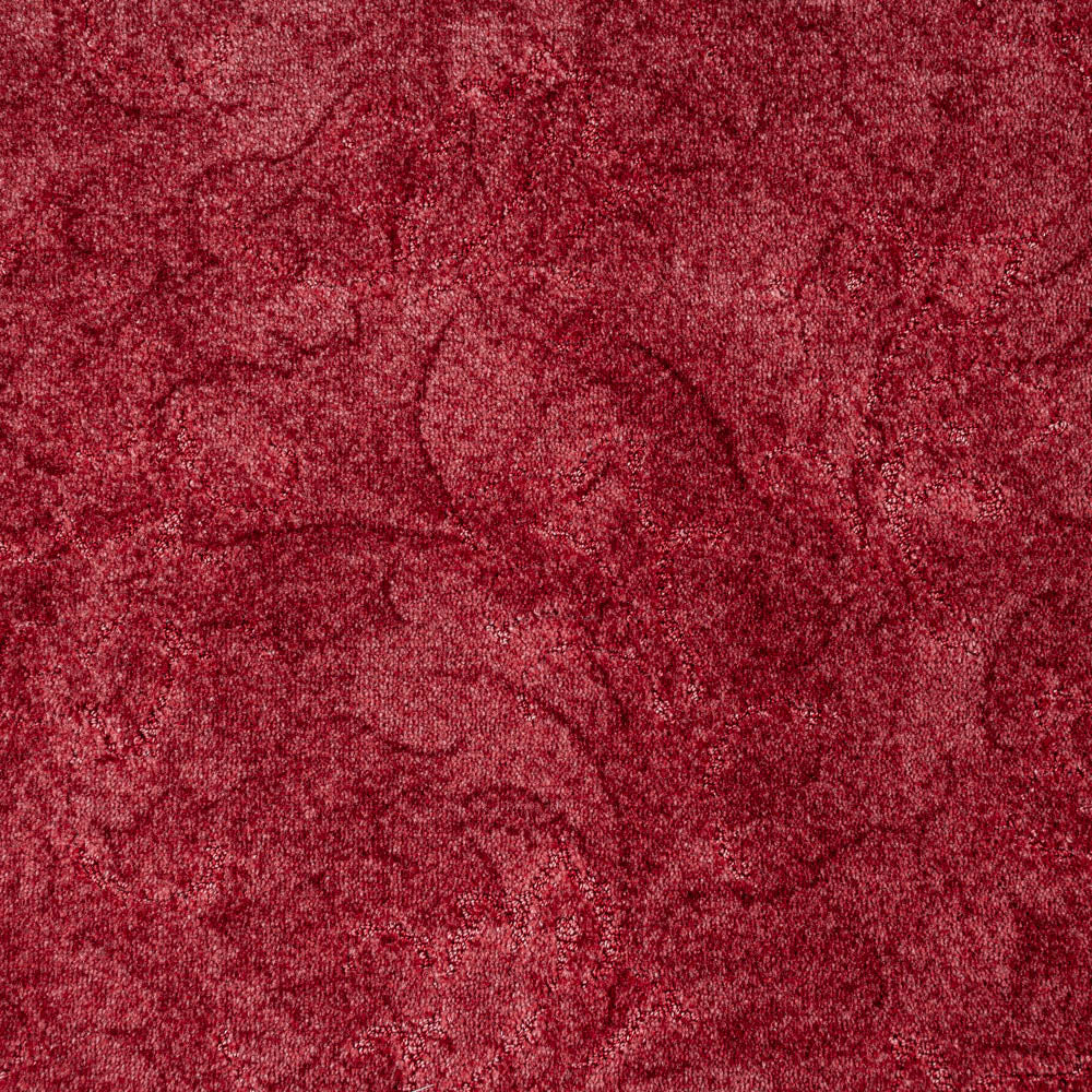 Dakota - Image 12