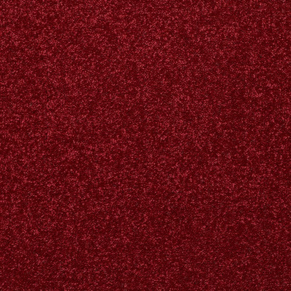 Embrace - Image 14