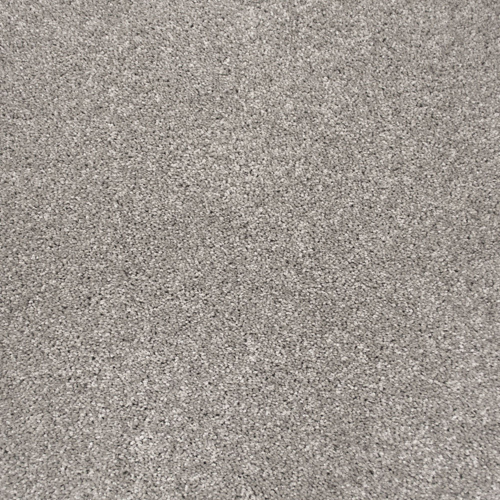 Exemplar - Image 3