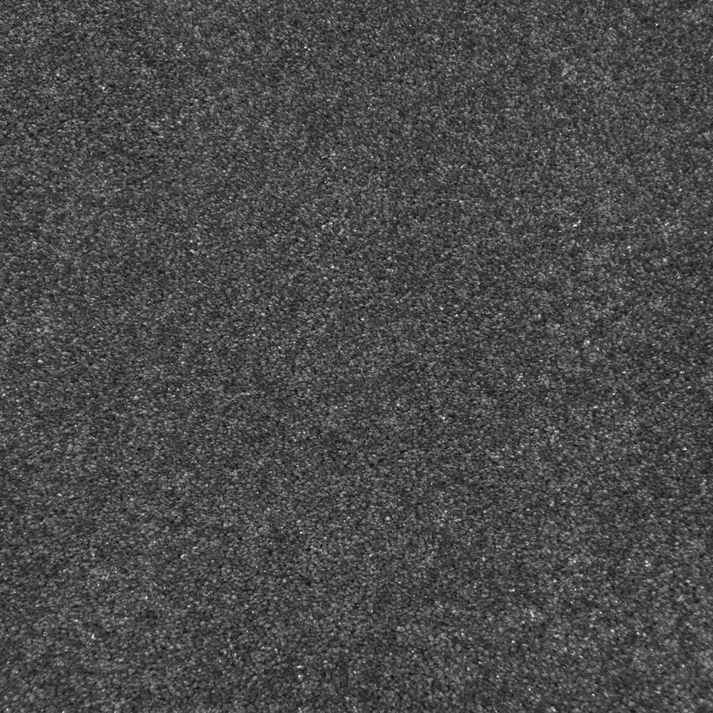 Exemplar - Image 4