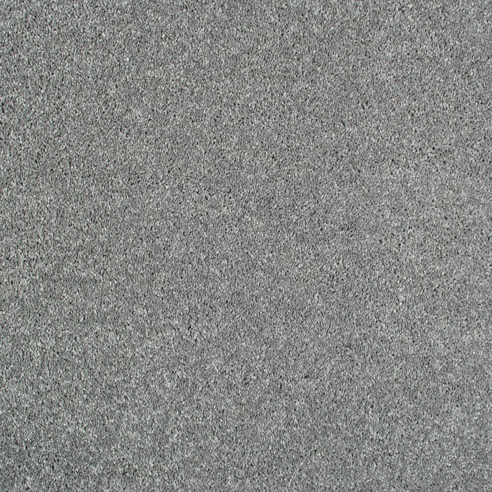 Exemplar - Image 5