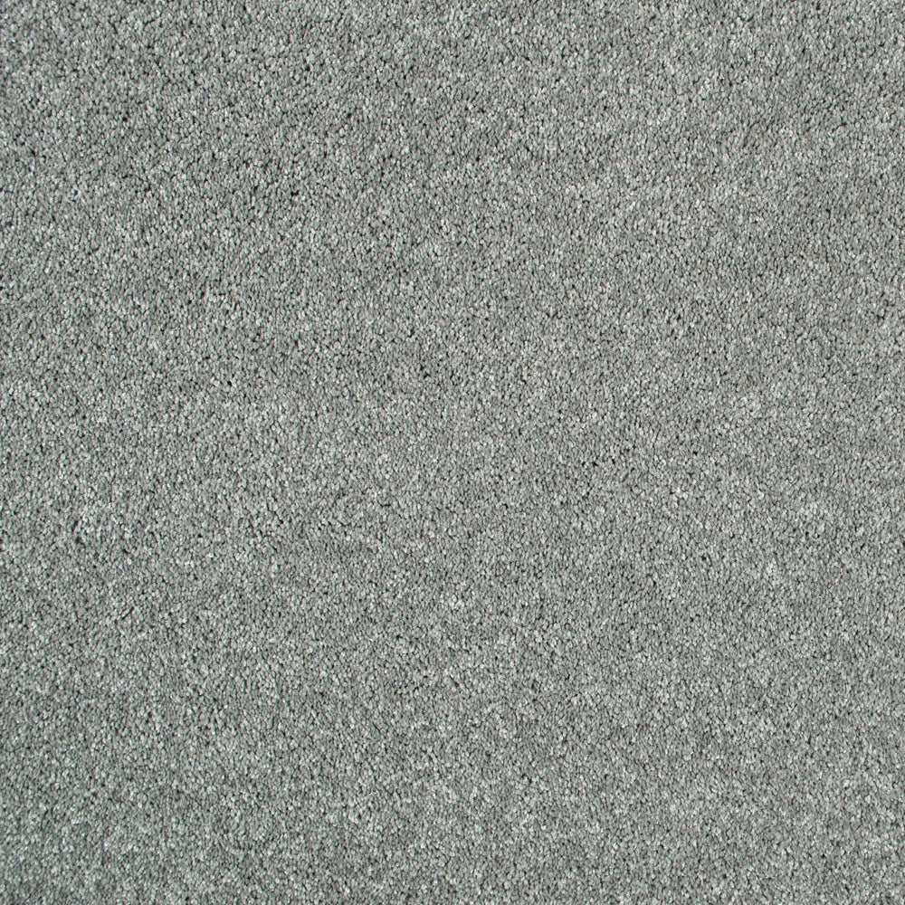 Exemplar - Image 8