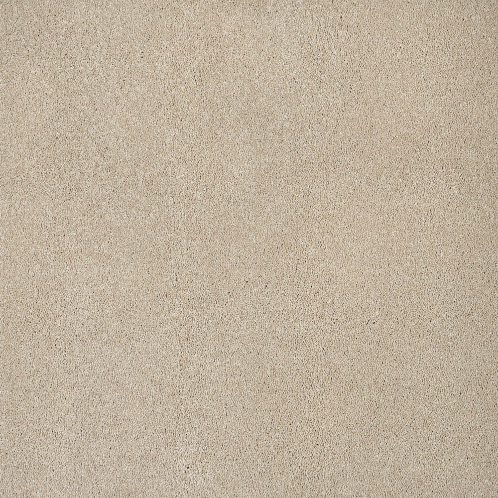 Horizon - Image 5