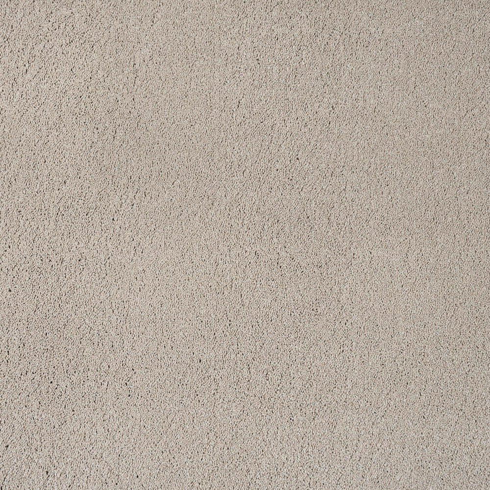 Horizon - Image 6