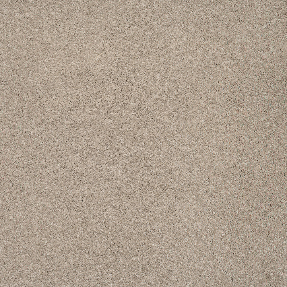 Leo - Image 13
