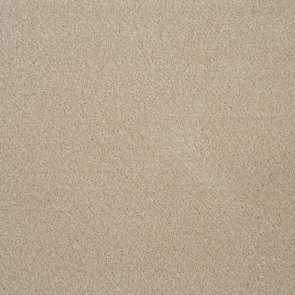 Leo - Image 8