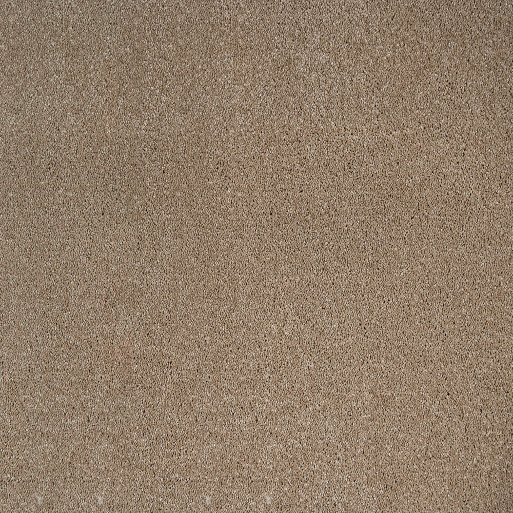 Leo - Image 9