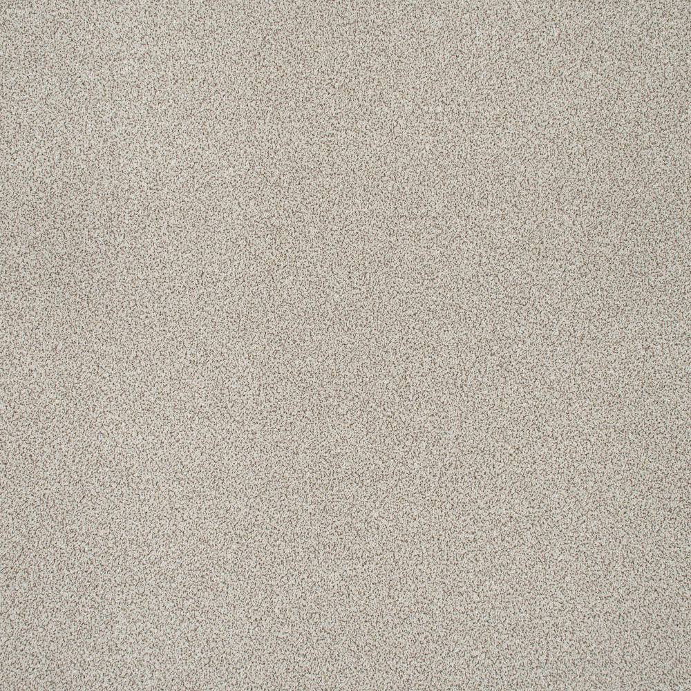 Paramount - Image 12