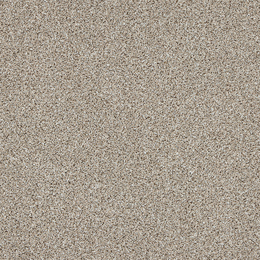 Paramount - Image 15