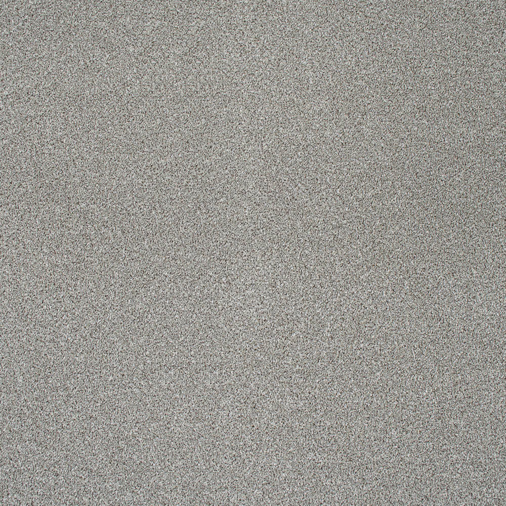 Paramount - Image 2