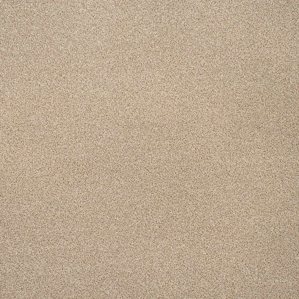 Paramount - Image 8