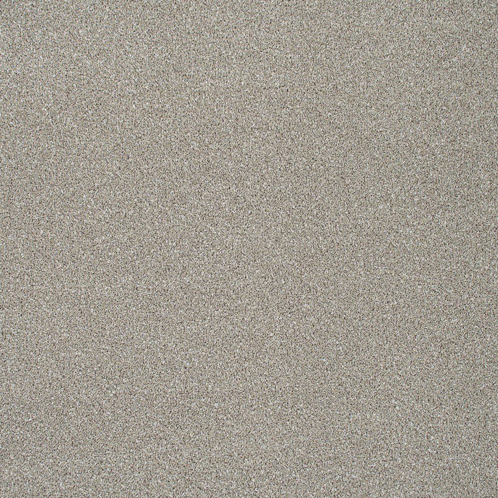 Paramount - Image 9