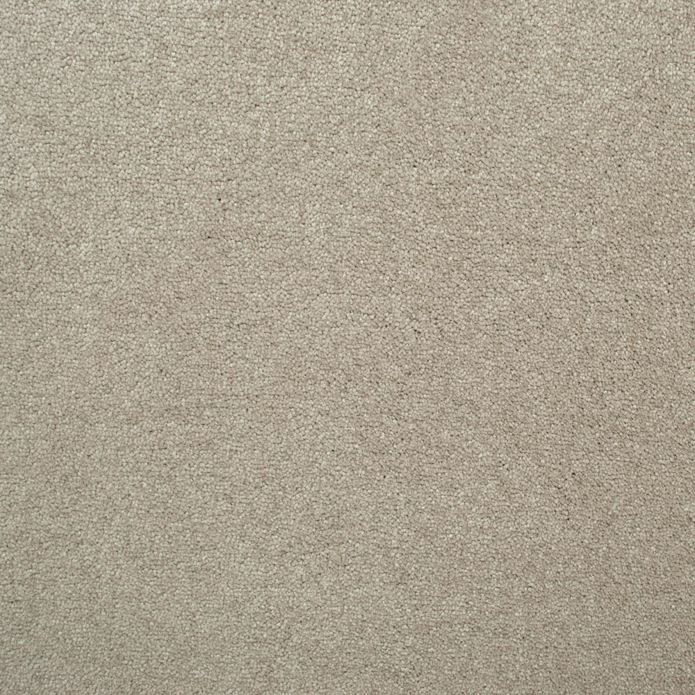 Scorpio - Image 13