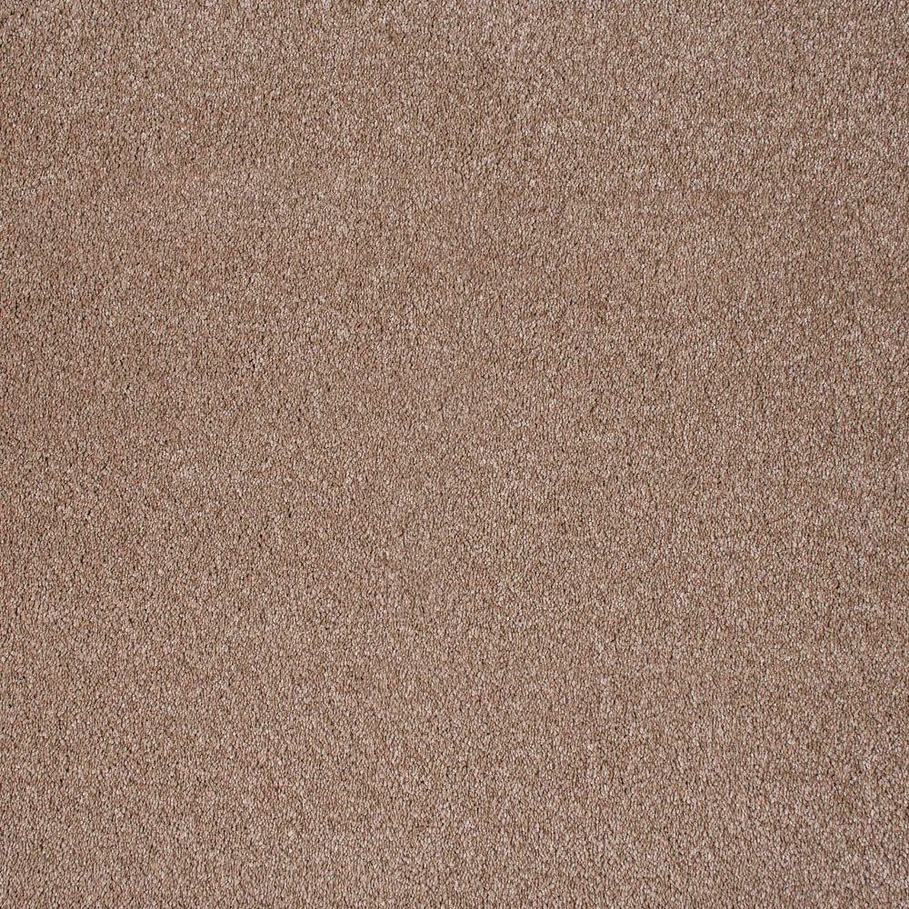 Scorpio - Image 15