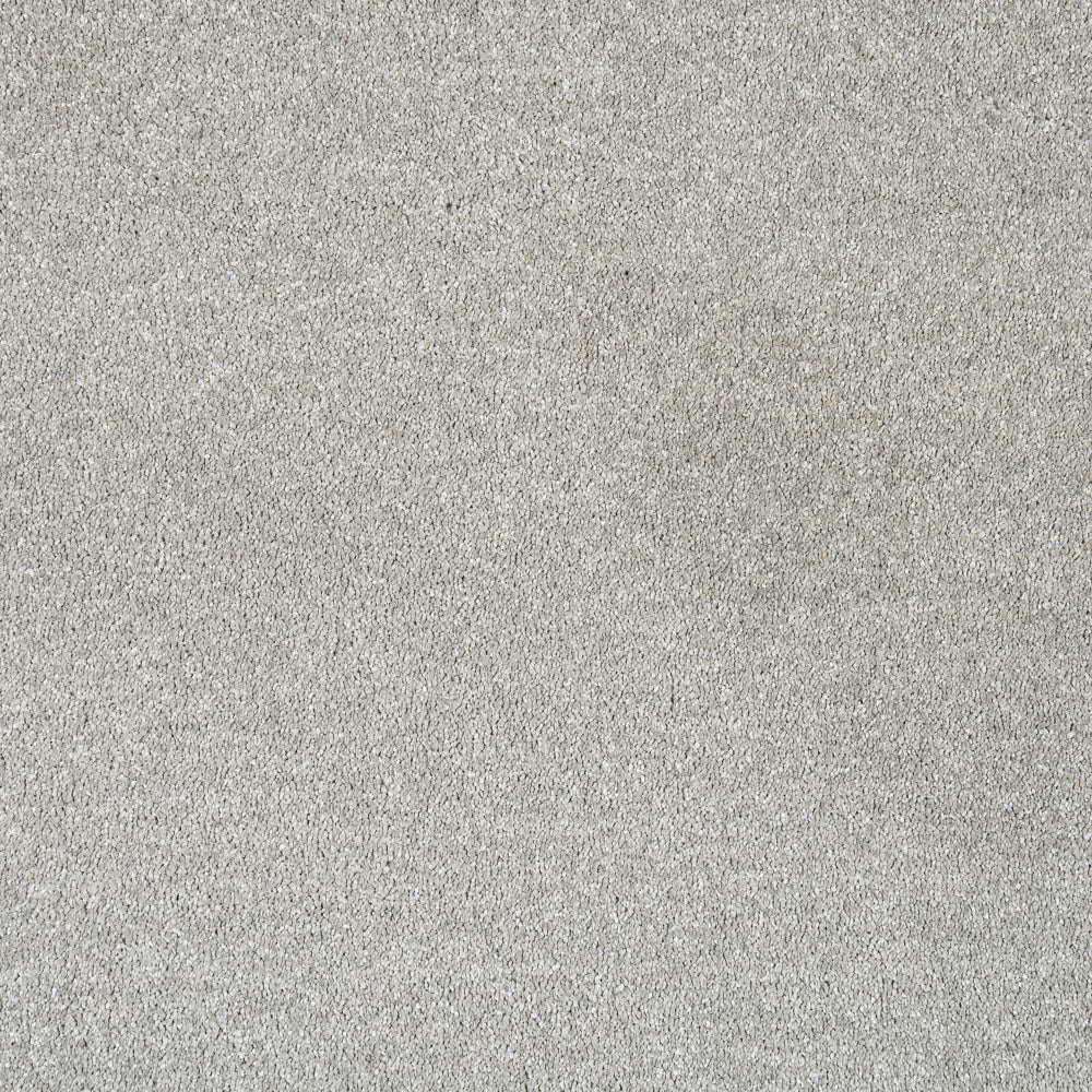 Serenade - Image 10