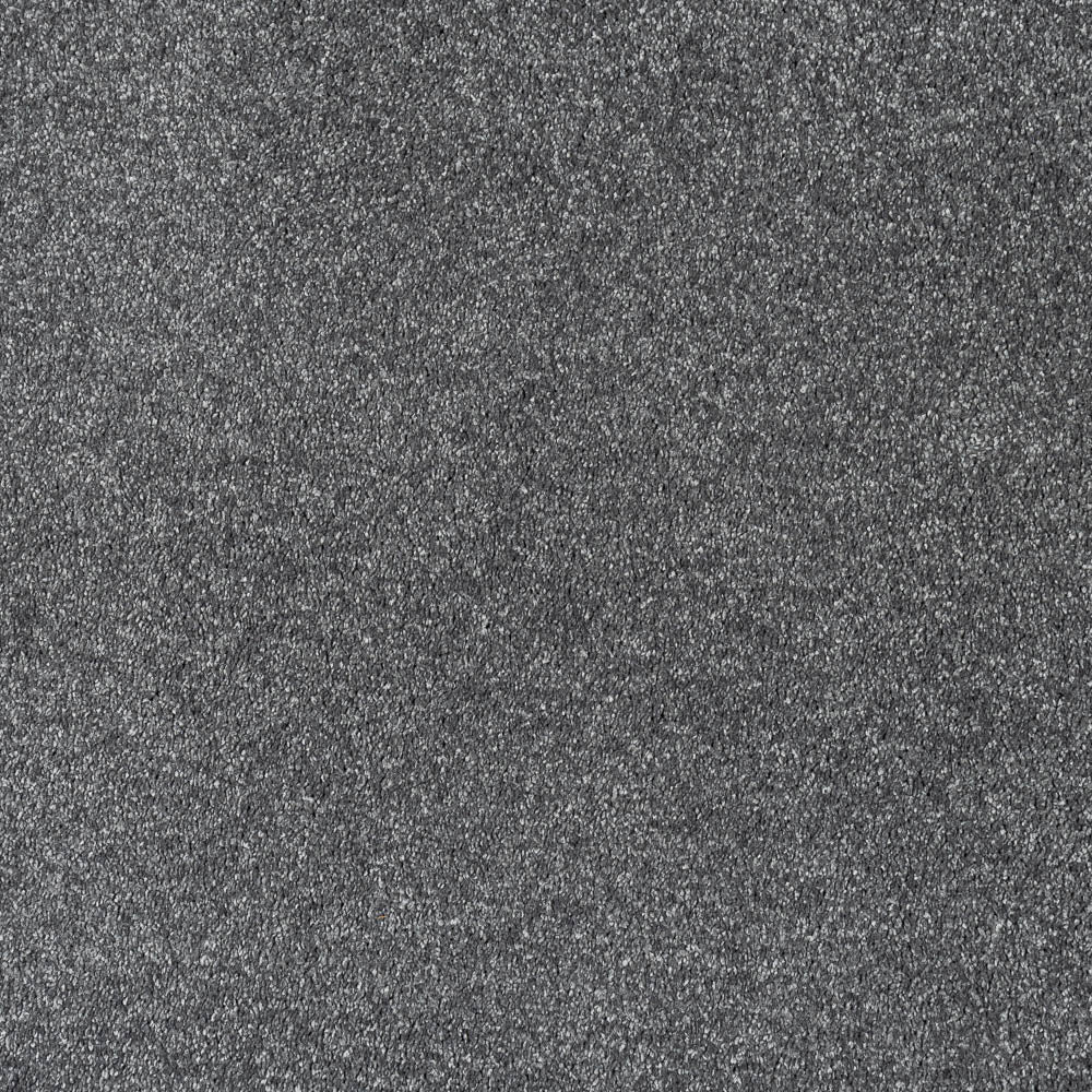 Serenade - Image 8