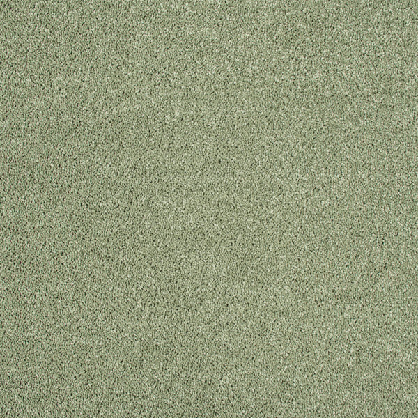 Spectrum - Image 11