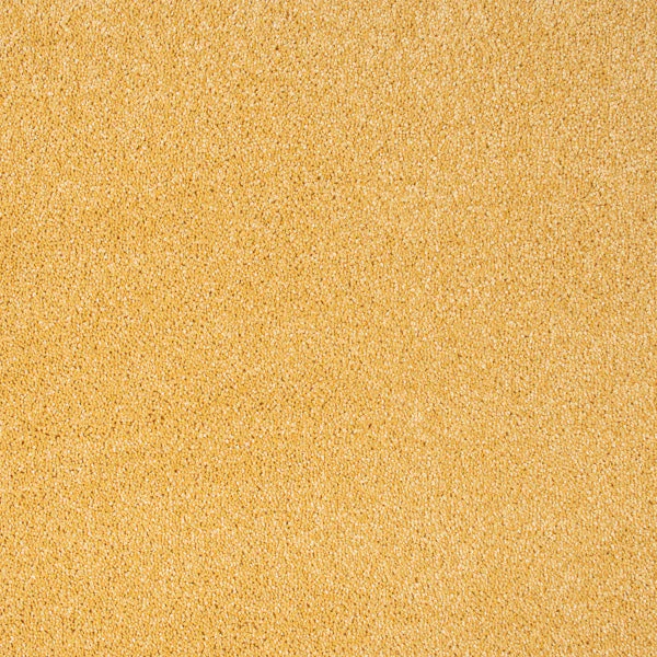 Spectrum - Image 13