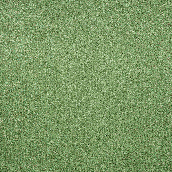 Spectrum - Image 19