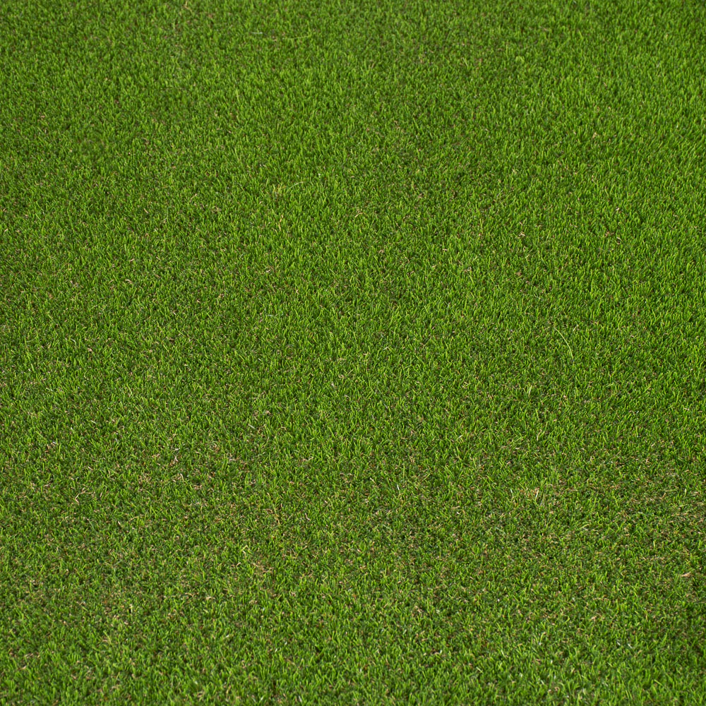 Tide 42mm Artificial Grass - Image 2