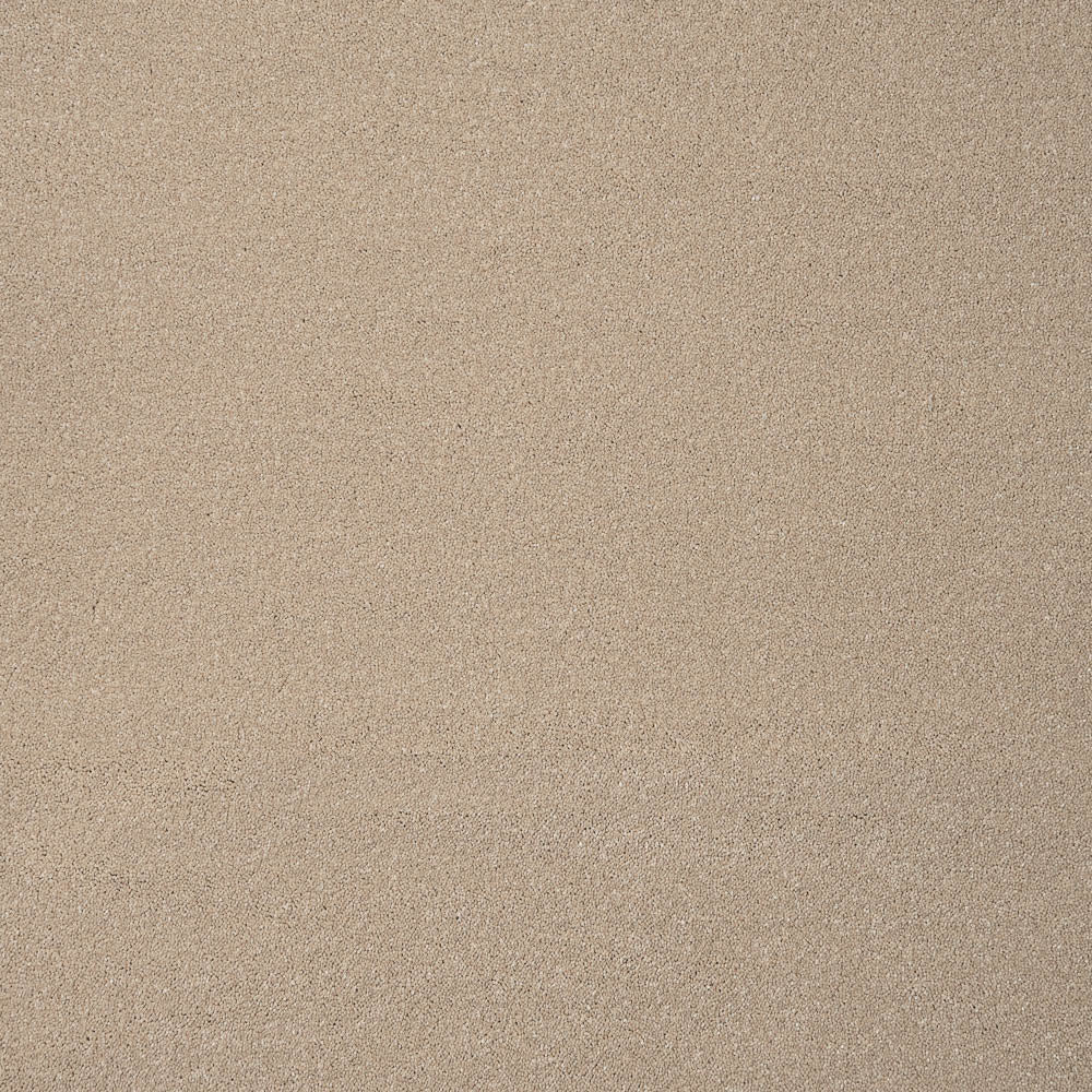 Timeless - Image 11