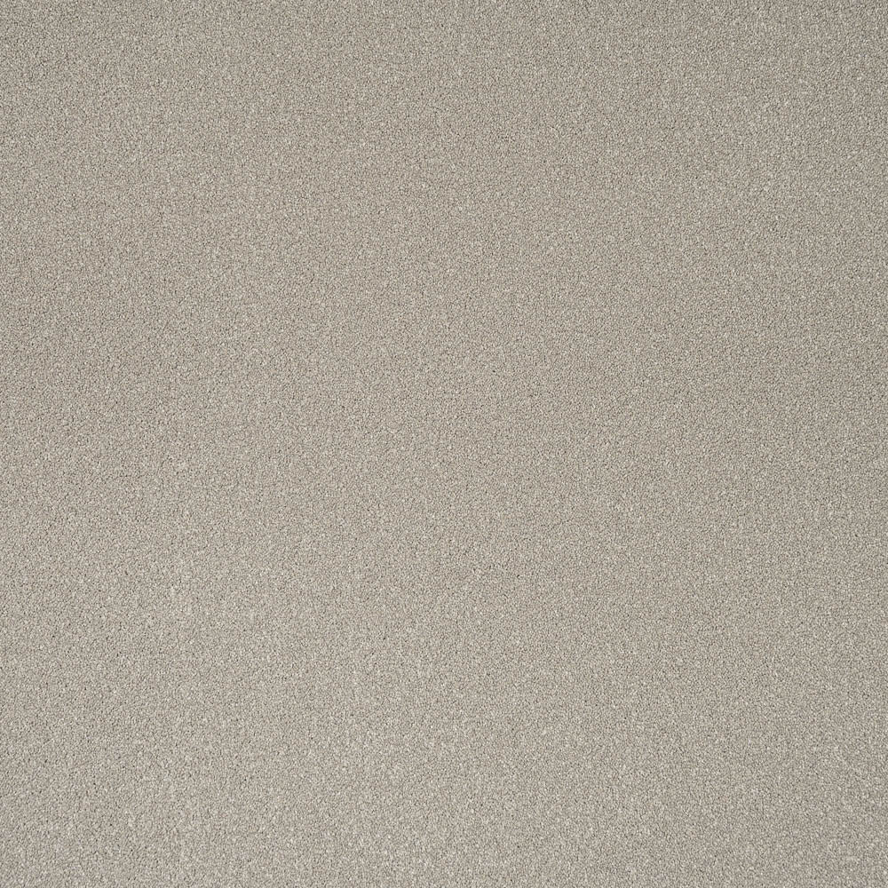 Timeless - Image 14