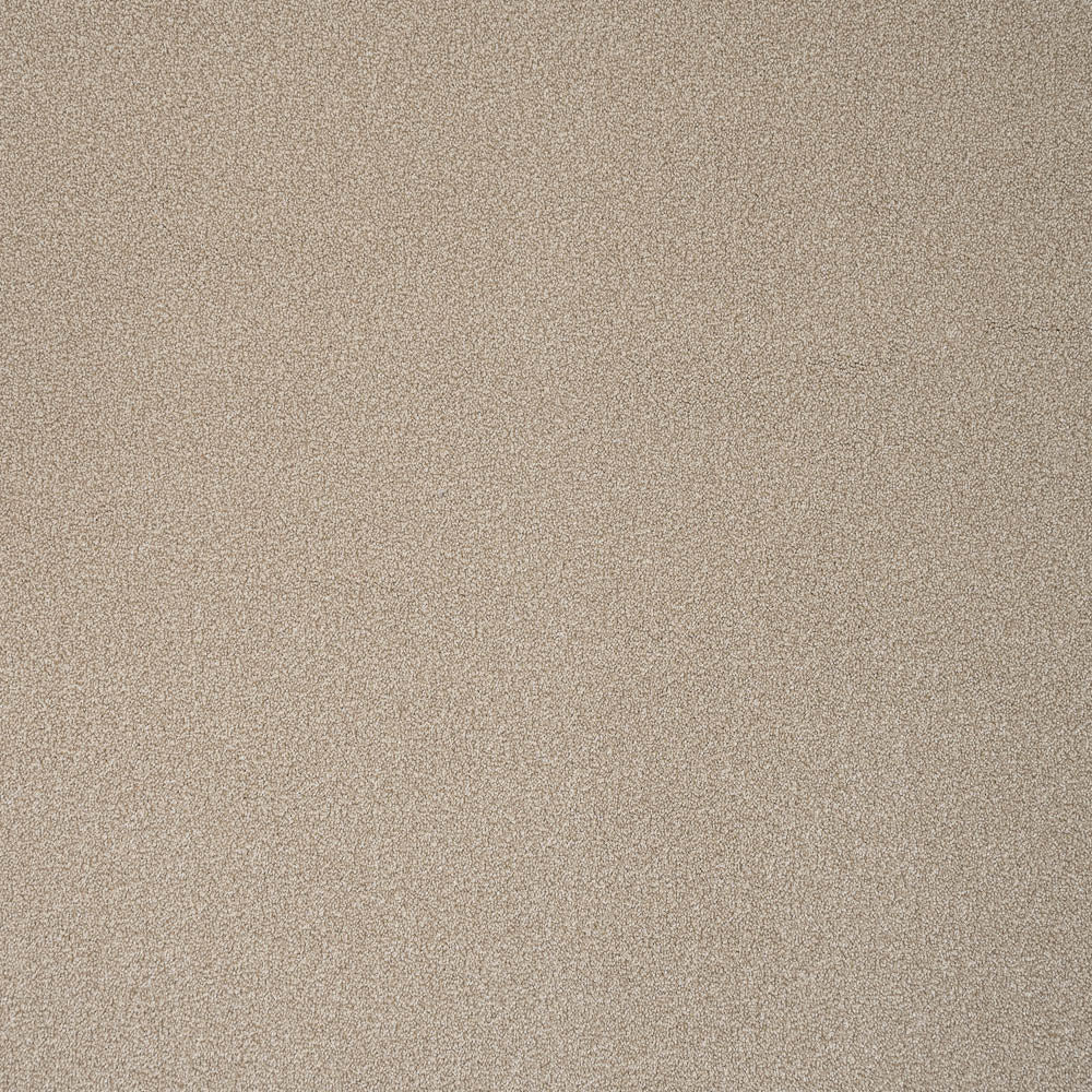 Timeless - Image 7