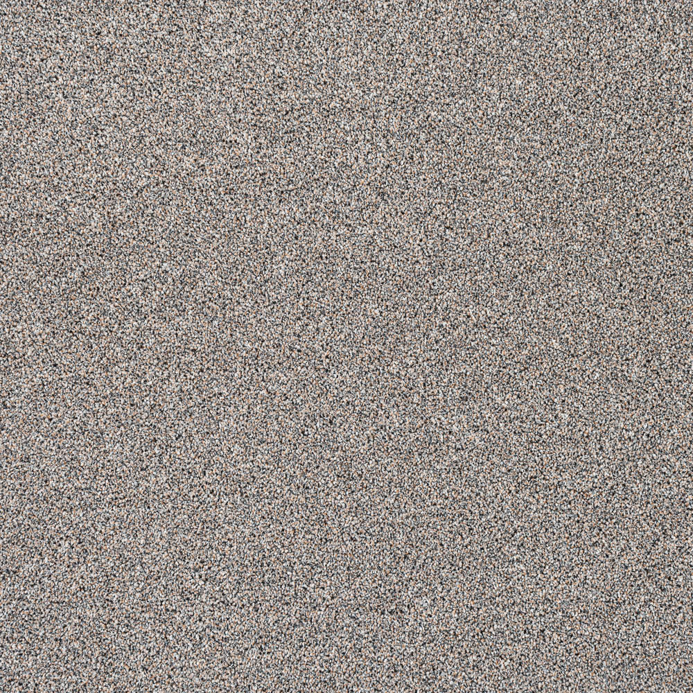 Trident - Image 12