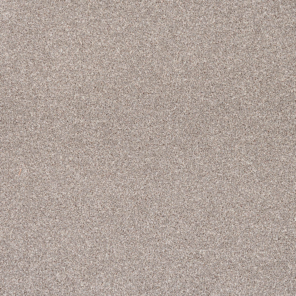 Trident - Image 13