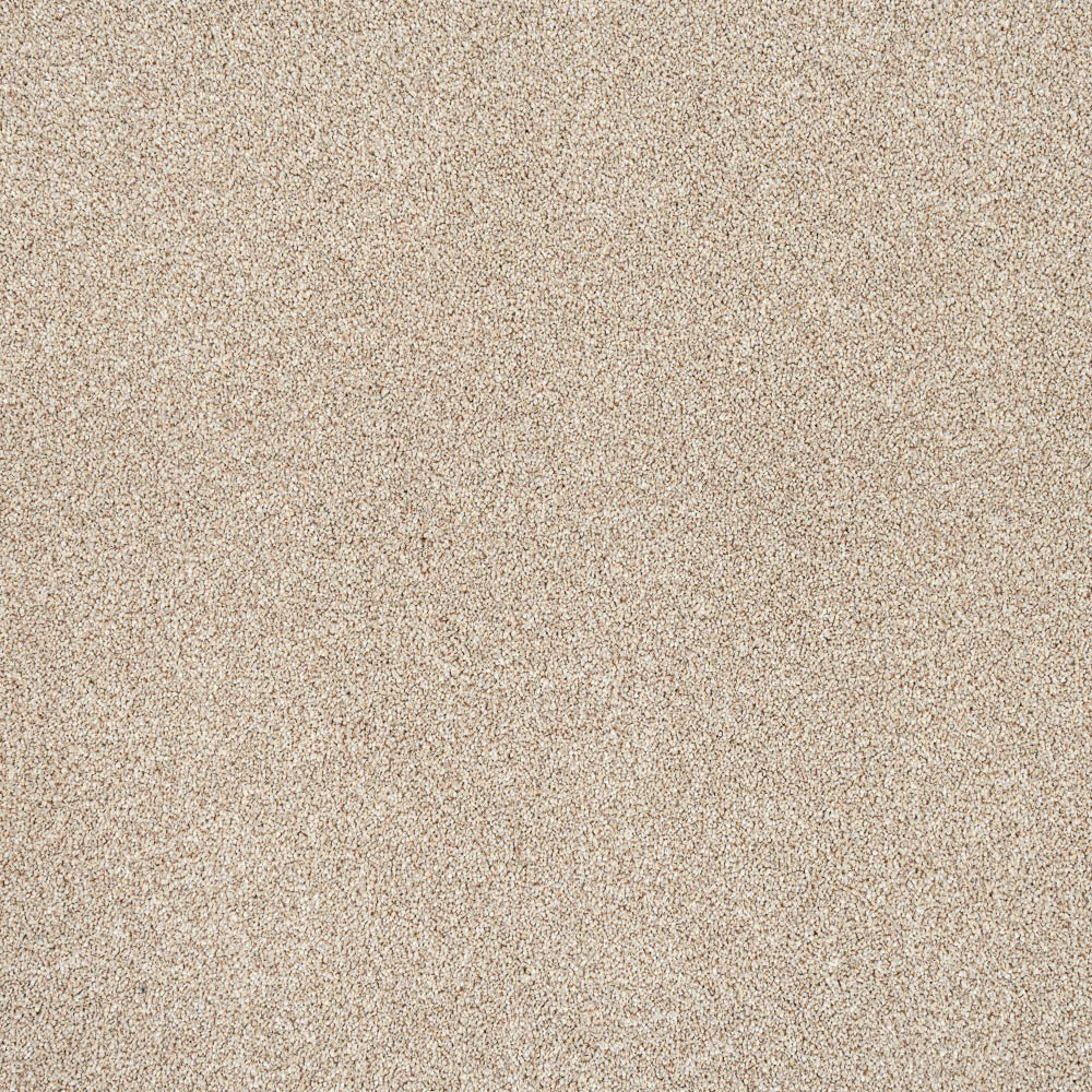 Trident - Image 5
