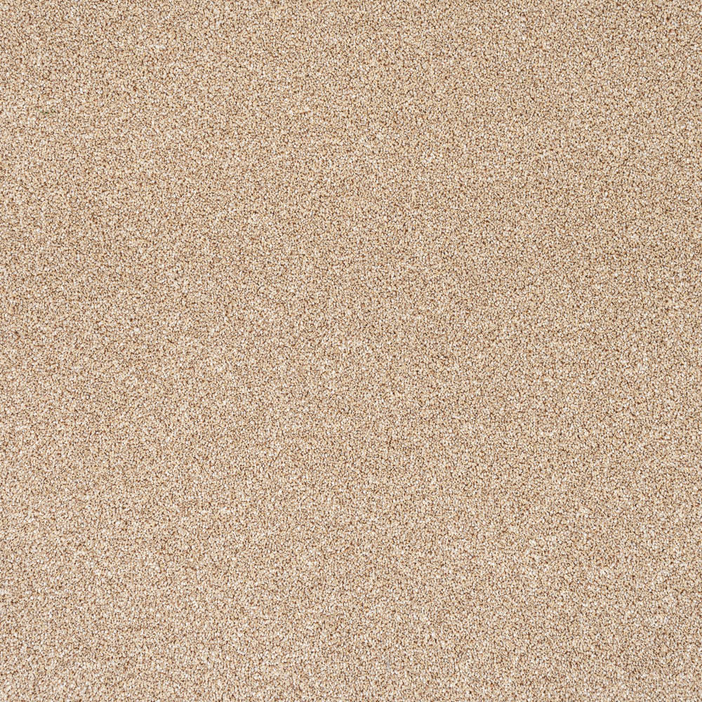 Trident - Image 8