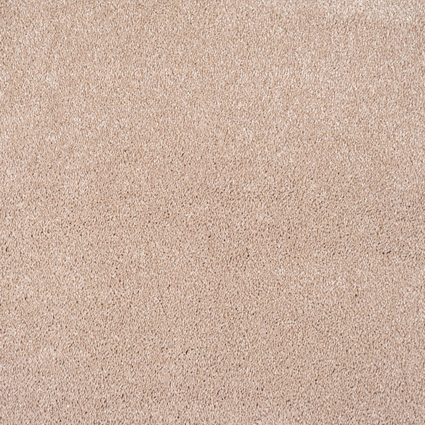 Trinity - Image 11