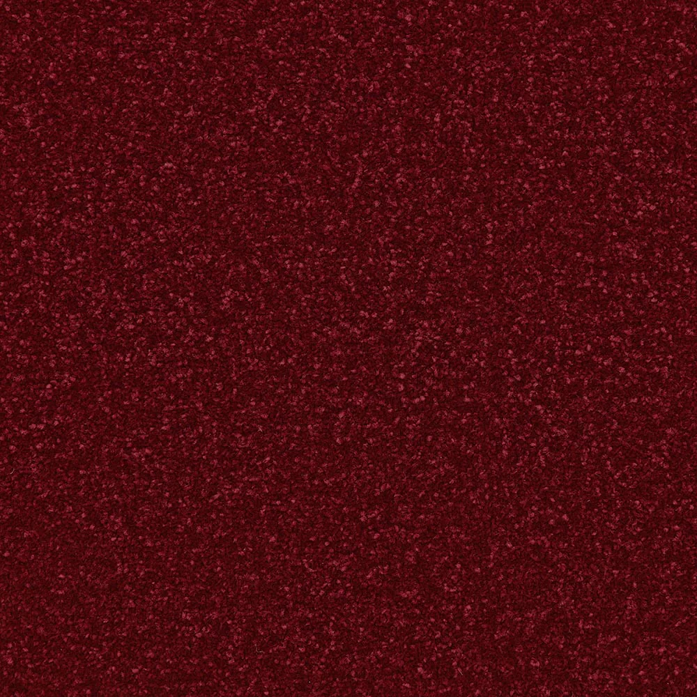 Zeus - Image 18