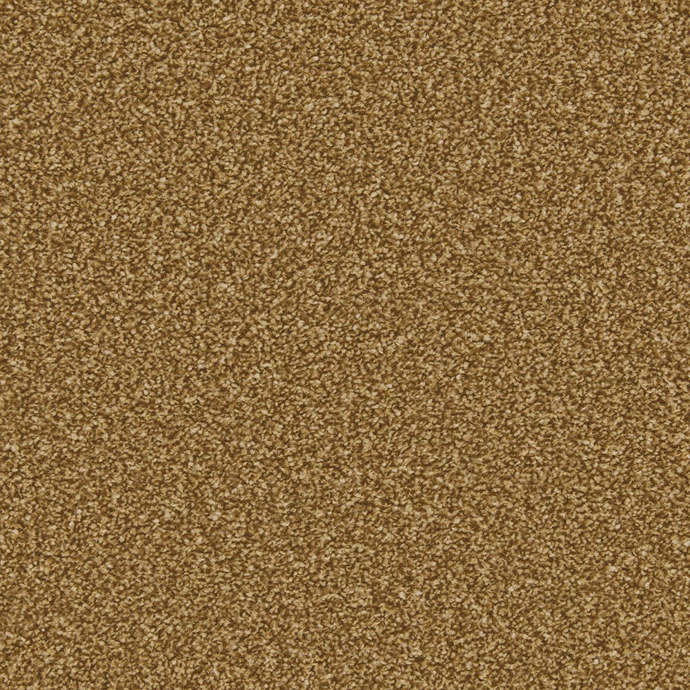 Zeus - Image 20